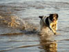 photography